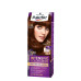 SCHWARZKOPF Palette Βαφή Μαλλιών Set Ν.6.68 Εντυπωσιακό Σοκολατί 110ml (Πρ. Ελληνικής Αντιπροσωπείας)