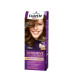 SCHWARZKOPF Palette Βαφή Μαλλιών Set Ν.6.60 Ξανθό Σκούρο Χρυσό Σοκολατί 110ml (Πρ. Ελληνικής Αντιπροσωπείας)