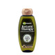 GARNIER Botanic Therapy Σαμπουάν Mythic Olive 400ml  (Πρ. Ελληνικής Αντιπροσωπείας)