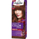 SCHWARZKOPF Palette Βαφή Μαλλιών Set Ν.6.70 Ξανθό Σκούρο Μπρονζέ 110ml (Πρ. Ελληνικής Αντιπροσωπείας)