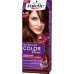 SCHWARZKOPF Palette Βαφή Μαλλιών Set Ν.6.80 Ξανθό Σκούρο Μπορντώ 110ml (Πρ. Ελληνικής Αντιπροσωπείας)