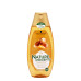 SCHWARZKOPF Nature Moments Σαμπουάν Argan Oil 400ml  (Πρ. Ελληνικής Αντιπροσωπείας)