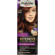 SCHWARZKOPF Palette Βαφή Μαλλιών Set Ν.6.79 Ακαζού Χάλκινο 110ml (Πρ. Ελληνικής Αντιπροσωπείας)