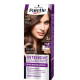 SCHWARZKOPF Palette Βαφή Μαλλιών Ν.6.28 Ξανθό Σκούρο Μεταλιζέ 50ml (Πρ. Ελληνικής Αντιπροσωπείας)