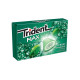 TRIDENT Τσίχλες Max Frost Δυόσμος Πλ. (1ευρω) 20gr (BARCODE ZIN: 7622210603999)