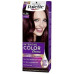 SCHWARZKOPF Palette Βαφή Μαλλιών Ν.4.26 Δαμασκηνί 50ml (Πρ. Ελληνικής Αντιπροσωπείας)