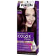 SCHWARZKOPF Palette Βαφή Μαλλιών Ν.4.26 Δαμασκηνί 50ml (Πρ. Ελληνικής Αντιπροσωπείας)